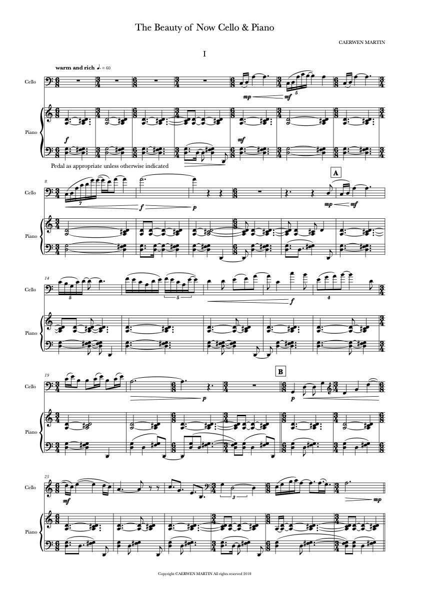 The Beauty of Now for Violoncello &nbsp;& Piano