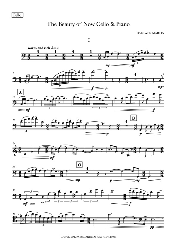 The Beauty of Now for Violoncello &nbsp;& Piano
