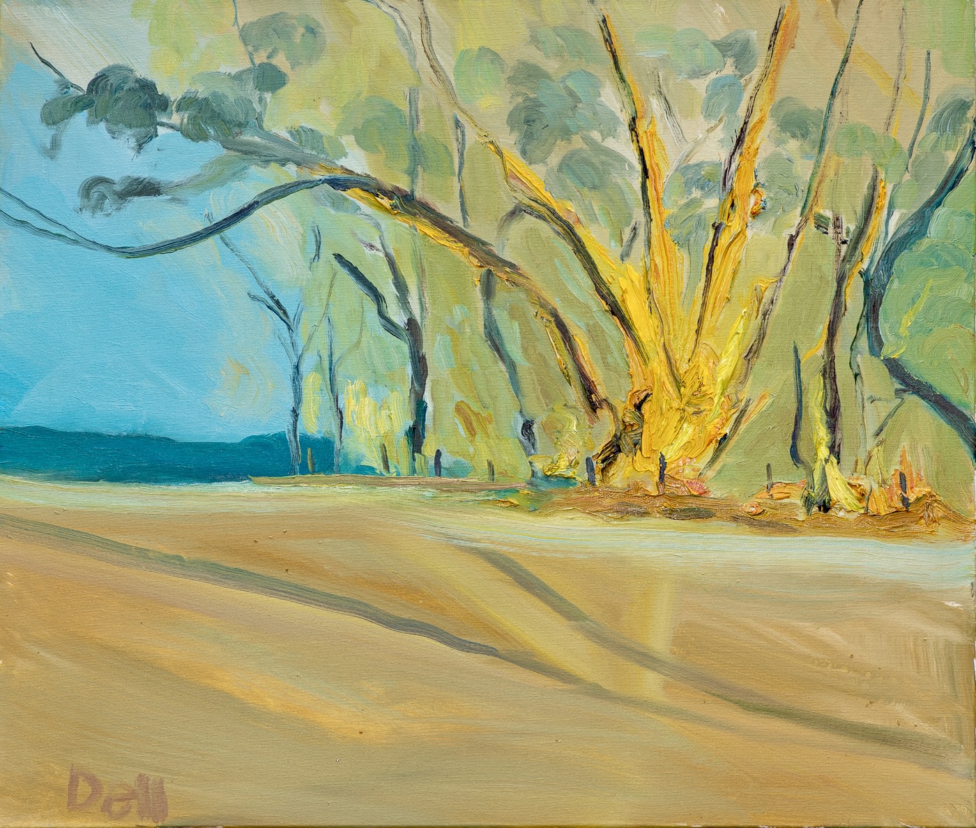 Fire at The Grampians